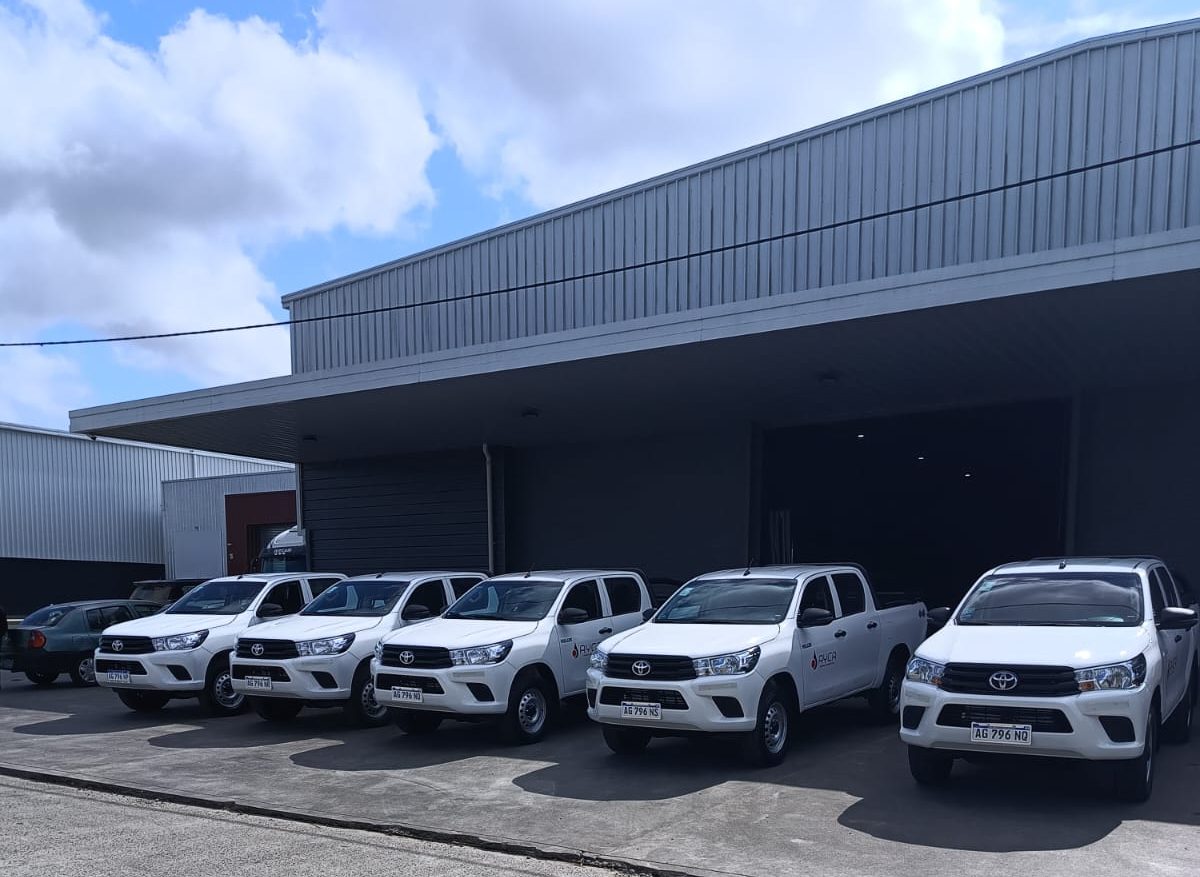 Rental y Pick up